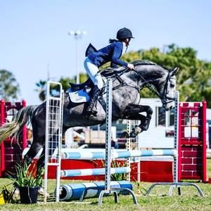 Meet your Posher, Shannon